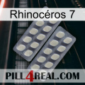 Rhinocéros 7 07